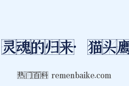 灵魂的归来·猫头鹰是什么意思的图片